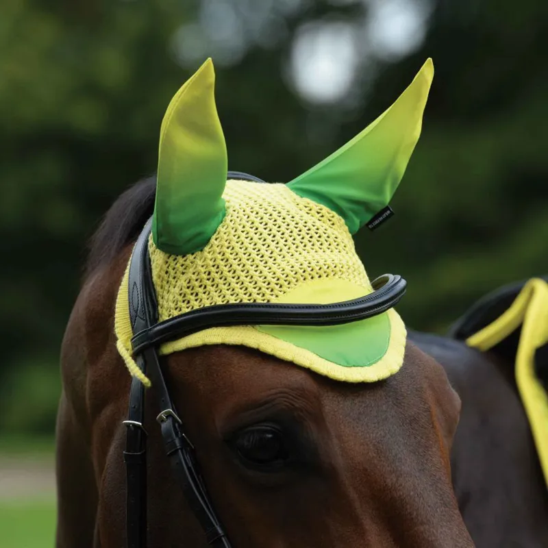 Weatherbeeta Prime Ombre Ear Bonnet in Sunflower Field